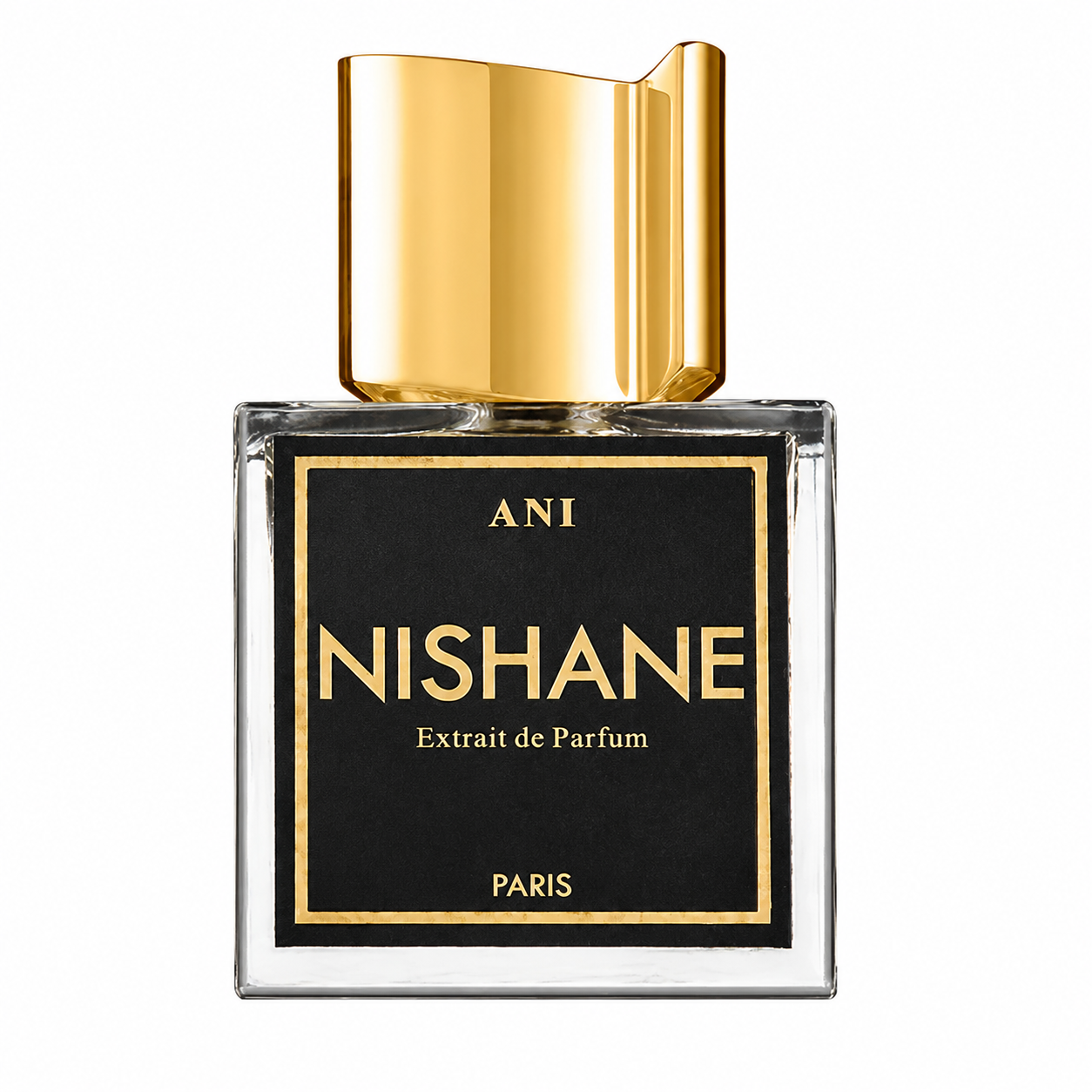 Nishane Ani 100ml Extrait de Parfum - Unisex